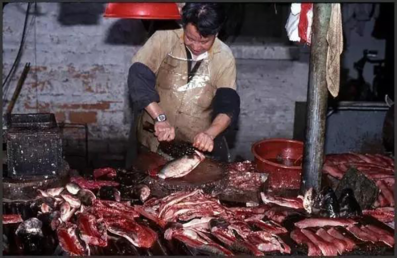 何老板萬(wàn)萬(wàn)沒(méi)想到，自己的餃子云吞店開(kāi)業(yè)的第一天就門(mén)庭若市